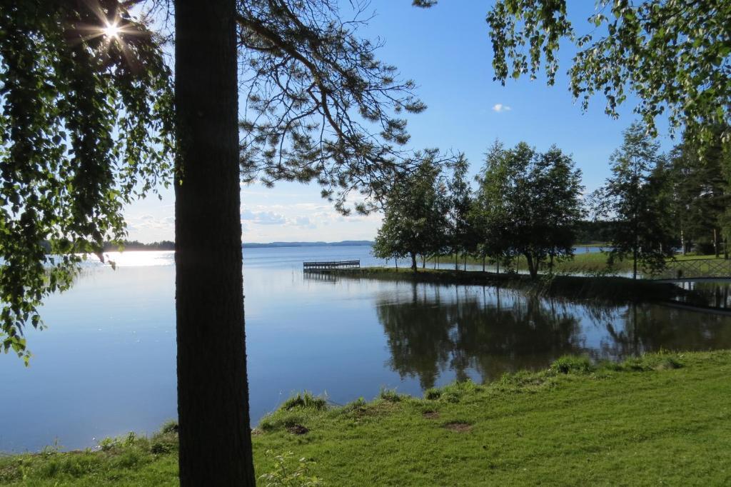 Hotel Laatokan Portti Parikkala Oda fotoğraf